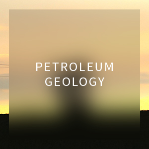 Petroleum Geology